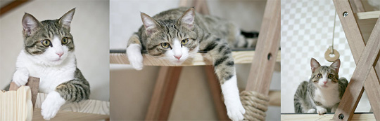 ������������ ������ ��� �����