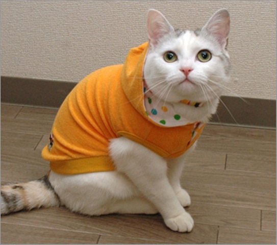 ���������� ������ ��� �����