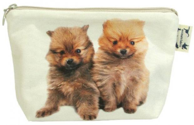 ���������� ����������