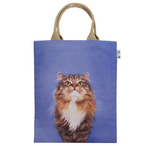 ���������� ����������