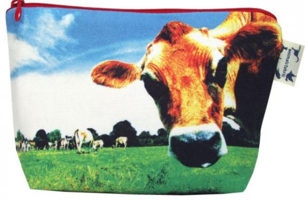 ���������� ����������