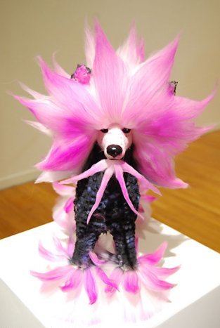 ������� �� �����