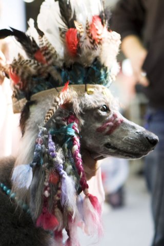 ������� �� �����