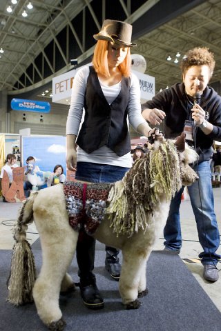 ������� �� �����