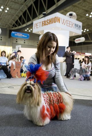 ������� �� �����