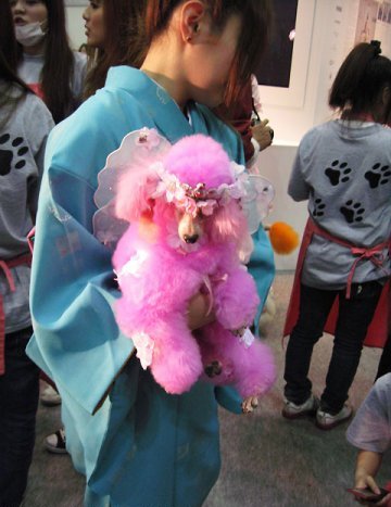 ������� �� �����