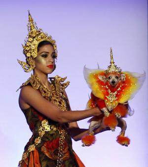 ������� �� �����