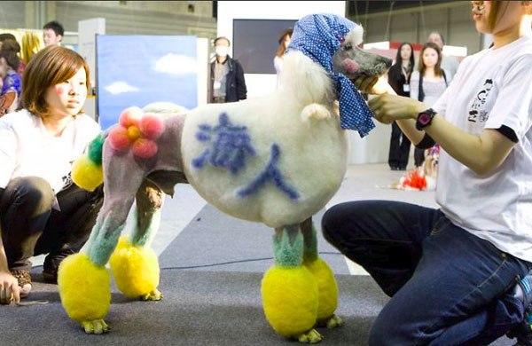 ������� �� �����