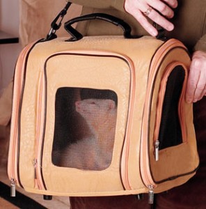 ��������� ��� �������