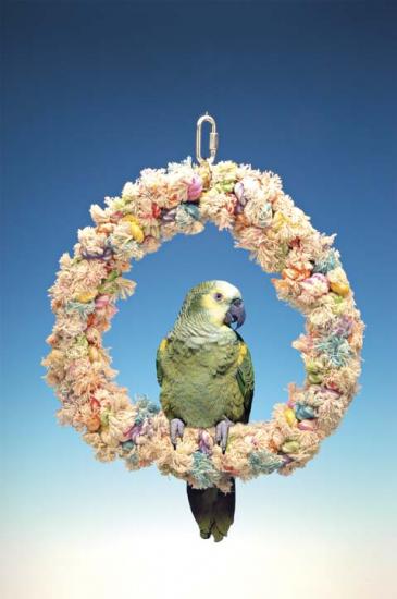 �������� �������� ��� ��������