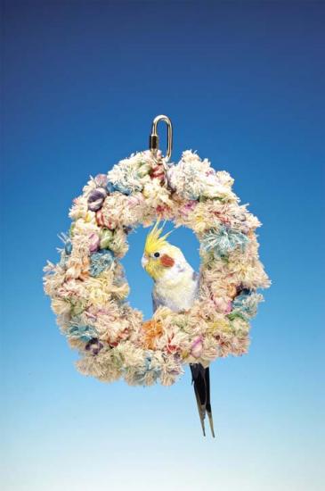 �������� �������� ��� ��������