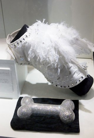 ���������� ������ �������� ����