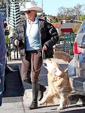 ������ � �� �������