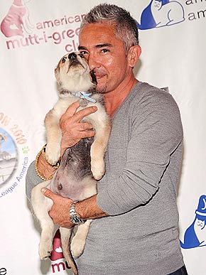 ������ � �� �������