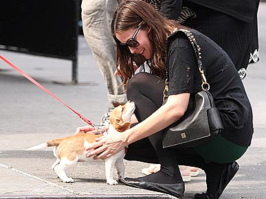 ������ � �� �������