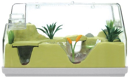 ��������� ��� �������