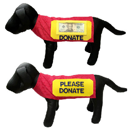 �� ������ �� �����