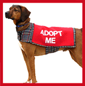 �� ������ �� �����