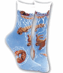 ������� ����� ��� ��������� ��������