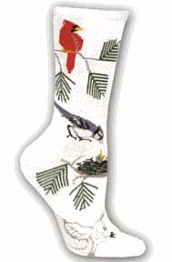 ������� ����� ��� ��������� ��������