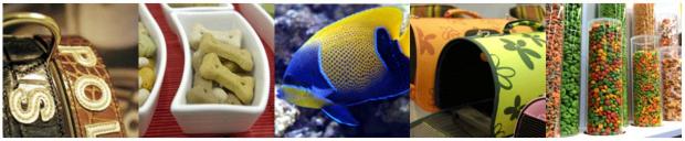 ����� ������� � ���� �������� ������� ��� ��������: ��������-2010