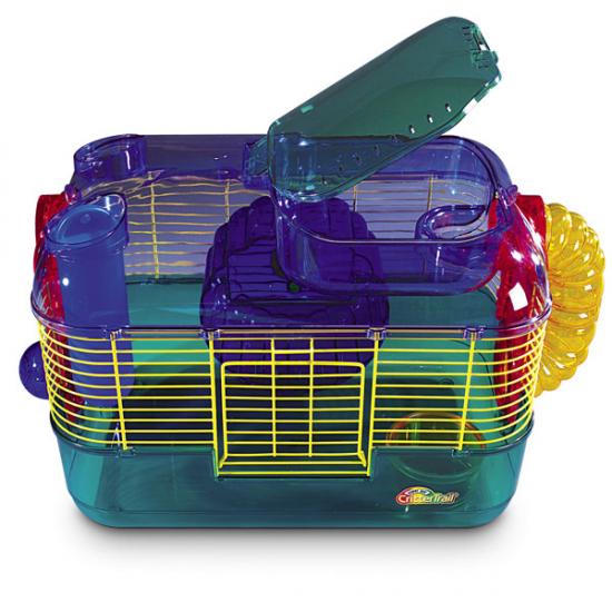 ����������� ����� ��� �����