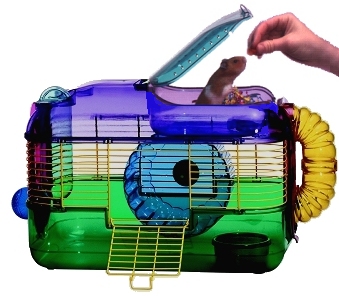 ����������� ����� ��� �����