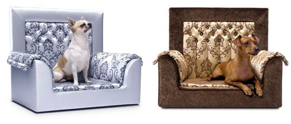 ����� ��� ����� �� ���������