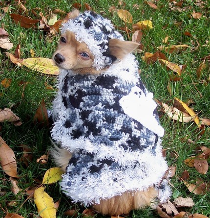 ������� ������ ��� �����