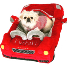 ��� ����� ������� ����