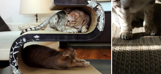 ����� �������� ����������