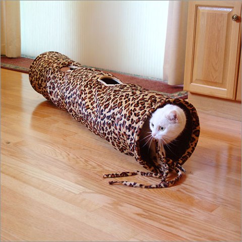 ������� ��� ��������