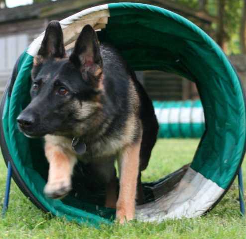 ������� ��� ��������