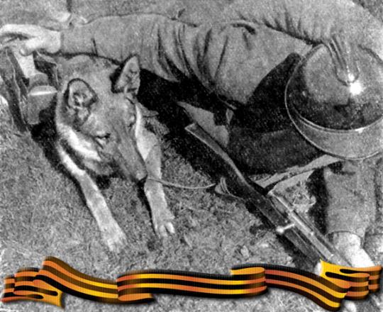 ������ � ������� ������������� �����