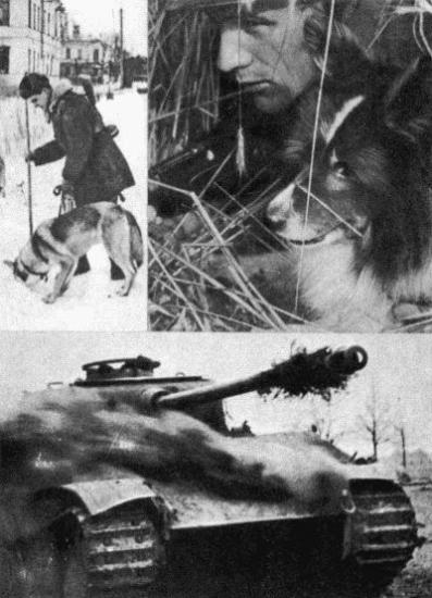 ������ � ������� ������������� �����