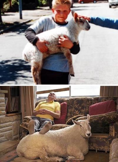 ����� ��������� �������