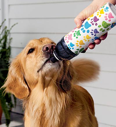 �������� � ����� ������ ����