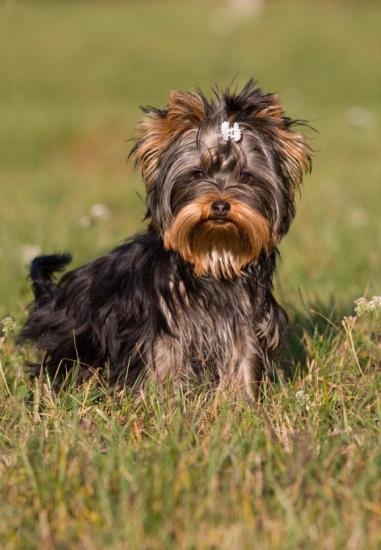 ������ ��������, ��� ��������� ������ ��������� �����