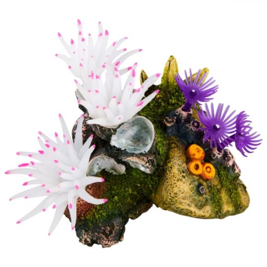 �������� ��������