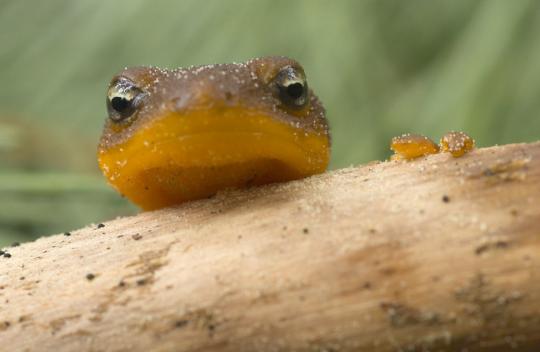 ������� � ��� ����