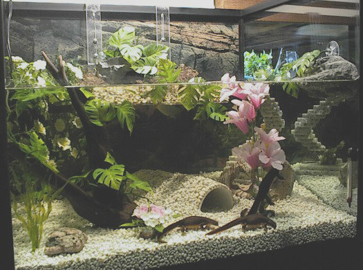 ������� � ��� ����