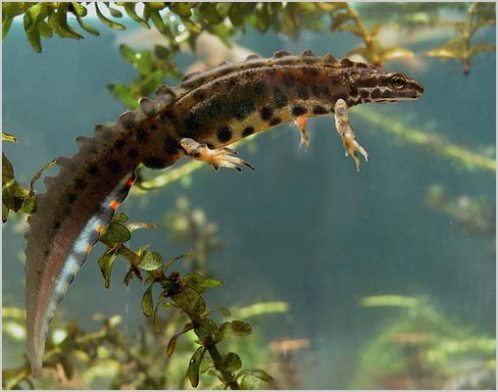 ������� � ��� ����