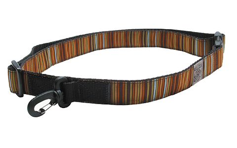 ������������ ������� �� ����