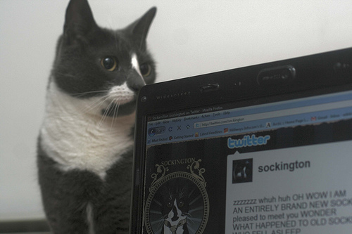 ����� ���������  ������������ �������