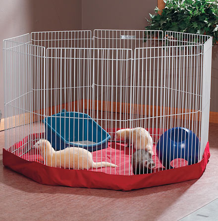 ������� ����� ��� �������