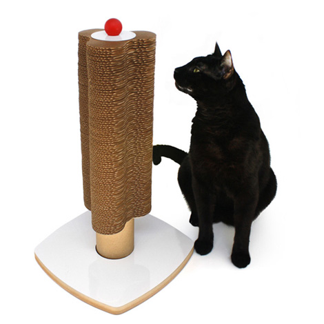 ����� ��������� ����������