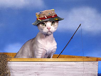 ����� ������ �����