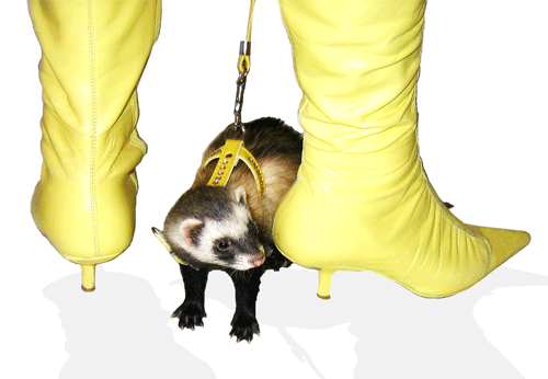 ��������� ������