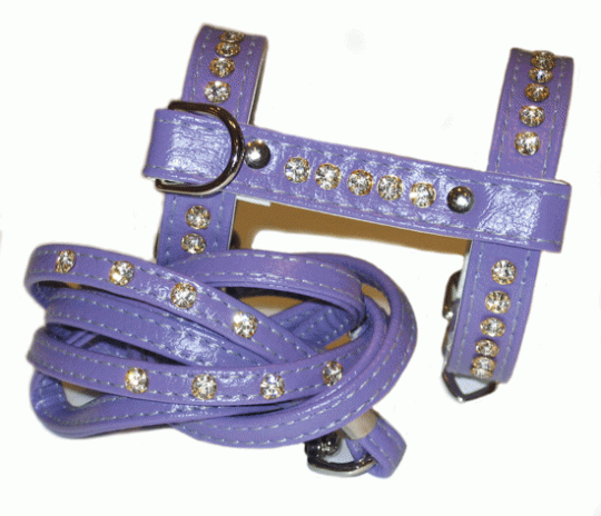 ��������� ������