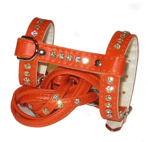 ��������� ������